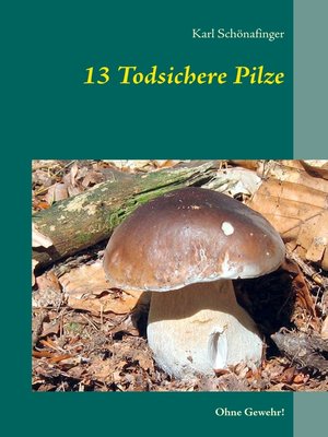cover image of 13 Todsichere Pilze